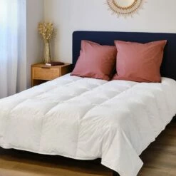 NAIA - Couette Tempérée En Duvet Et Plumettes De Canard - Blanc 240x220cm -chambre à coucher Soldes COUETTE NAIA 27339770 A 1