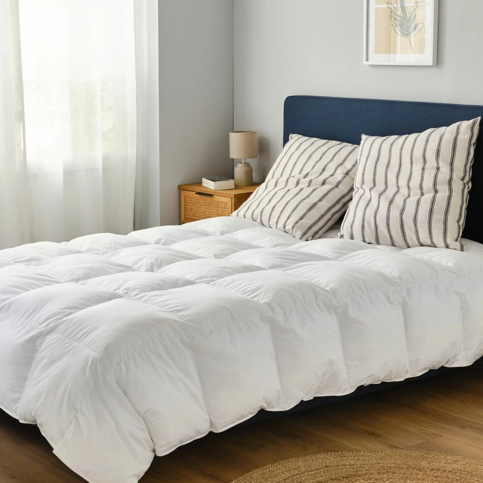 PANDORE - Couette Tempérée Percale De Coton Et Fibre Siliconée - 240x220cm 5 PANDORE - Couette Tempérée Percale De Coton Et Fibre Siliconée - 240x220cm – Image 3