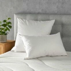 FANETTE - Oreiller Ferme En Plumettes De Canard - Blanc 65x65cm -chambre à coucher Soldes OREILLER FANETTE 27339855 A 1