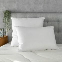 MURCIA - Oreiller Naturel Moelleux En Plumettes Et Duvet De Canard - 50x70cm -chambre à coucher Soldes OREILLER MURCIA 27322567 A 1