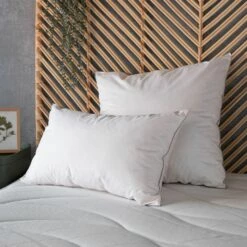 SCARLETTE - Oreiller Moelleux En Plumettes De Canard - Blanc 65x65cm -chambre à coucher Soldes OREILLER SCARLETTE 27339817 A 1