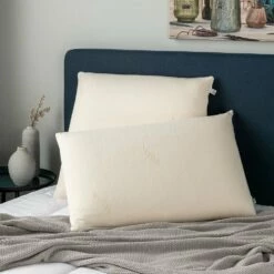 MOLA - Oreiller Synthétique à Mémoire De Forme - 60x60cm